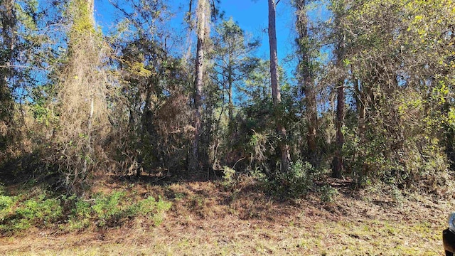 131 Georgetown Denver Rd, Georgetown FL, 32139 land for sale