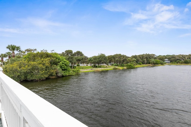 19 Smiling Fish Ln, Palm Coast, FL 32137 - water view featuring a tree filled landscape
