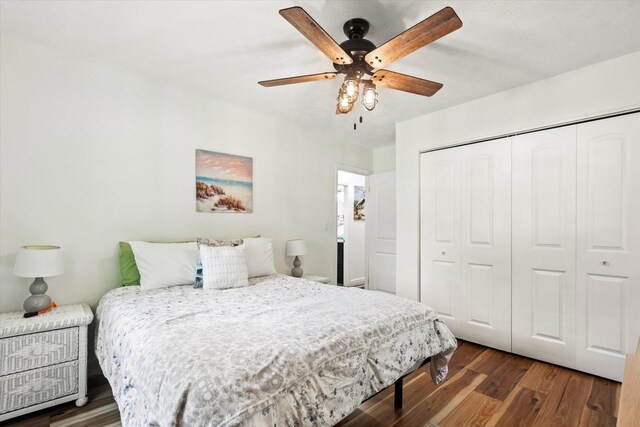 13 Douglas Ave, Saint Augustine, FL 32084 - bedroom with wood finished floors, a closet, and ceiling fan
