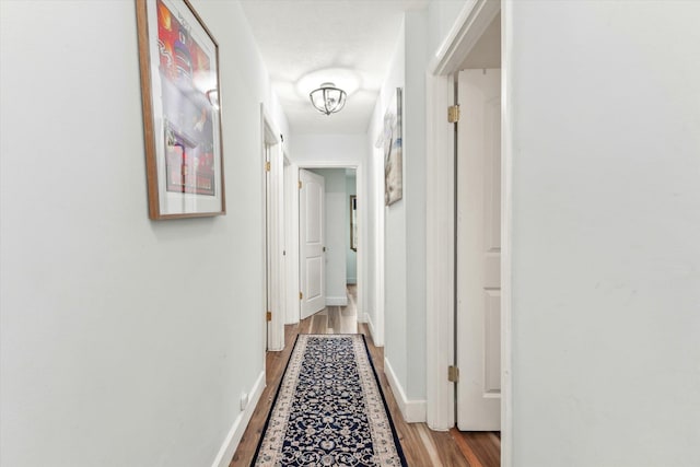 13 Douglas Ave, Saint Augustine, FL 32084 - corridor featuring wood finished floors and baseboards