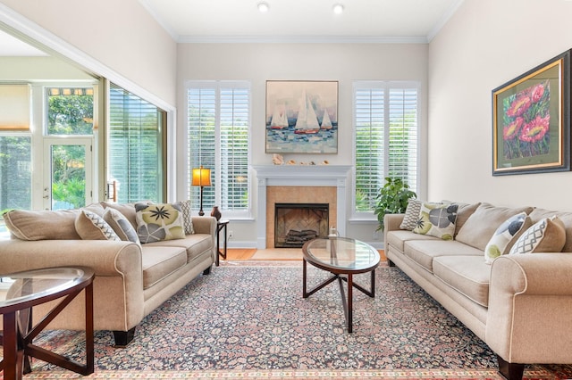 living area featuring baseboards, ornamental molding, wood finished floors, and a fireplace