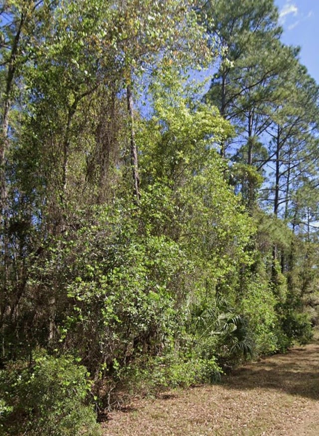 128 Helen Ave, Georgetown, FL 32139