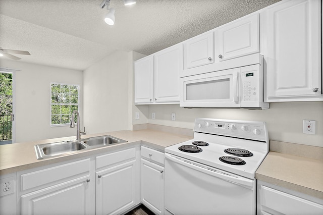2005 Mariposa Vista Ln, Saint Augustine, FL 32084 - photo 21
