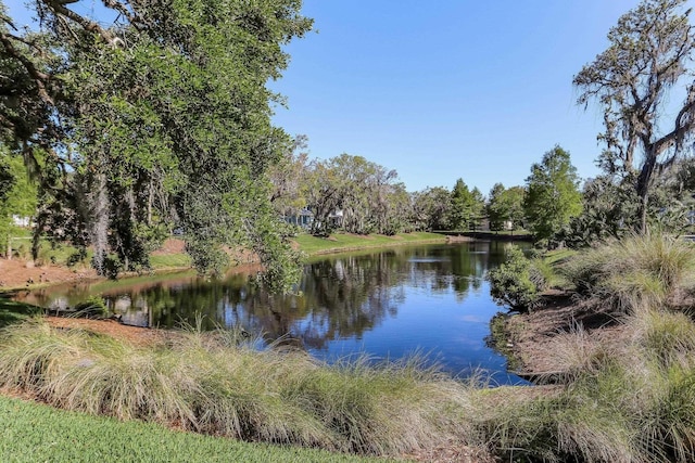 property view of water