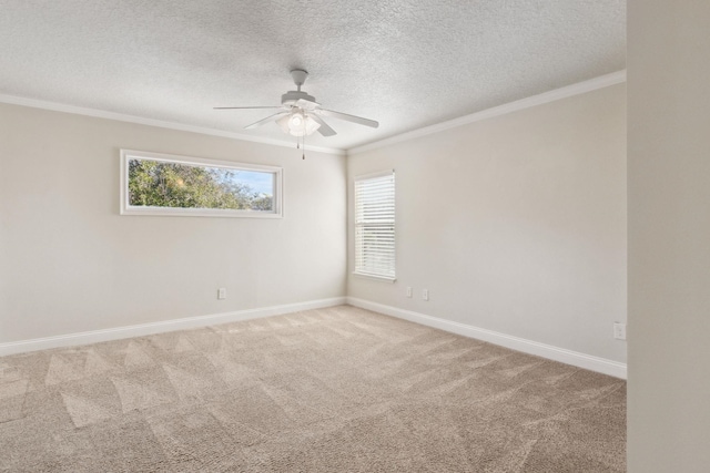 empty room featuring carpet flooring, crown molding, ceiling fan, and a textured ceiling