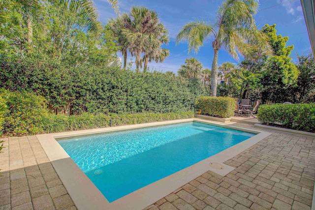 view of pool featuring a fenced in pool and a patio area