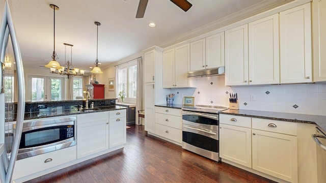 kitchen featuring dark wood finished floors, under cabinet range hood, decorative backsplash, appliances with stainless steel finishes, and a sink