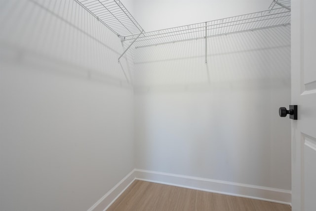237 Jackson Blvd, Saint Augustine, FL 32095 - walk in closet with light wood finished floors