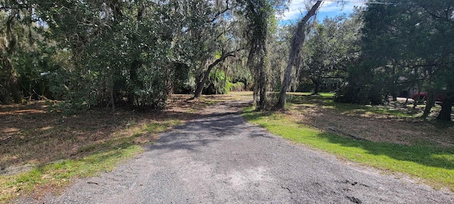 Listing photo 3 for 102 Orange Tree Rd, East Palatka FL 32131