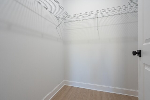 241 Jackson Blvd, Saint Augustine, FL 32095 - spacious closet featuring light wood-style flooring