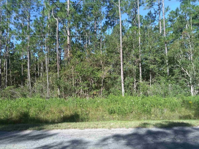 10635 Crotty Ave, Hastings FL, 32145 land for sale