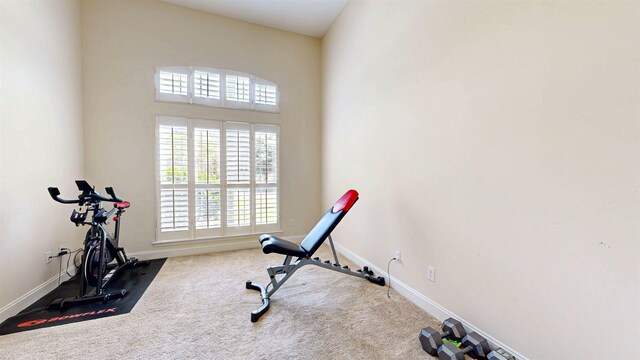 12232 Lashbrook Ct, Jacksonville, FL 32223 - workout area featuring carpet floors and baseboards