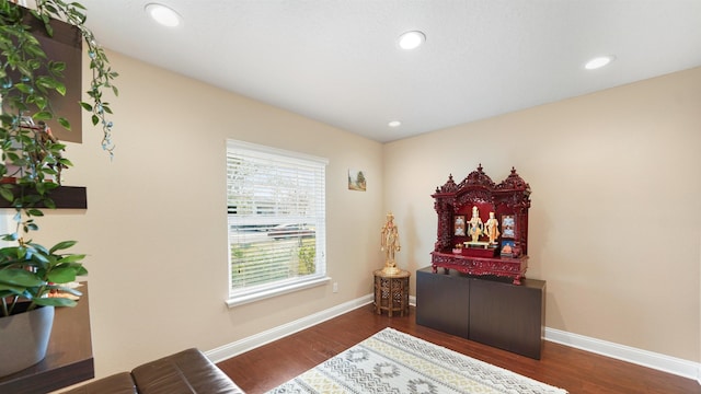 living area with dark hardwood / wood-style floors