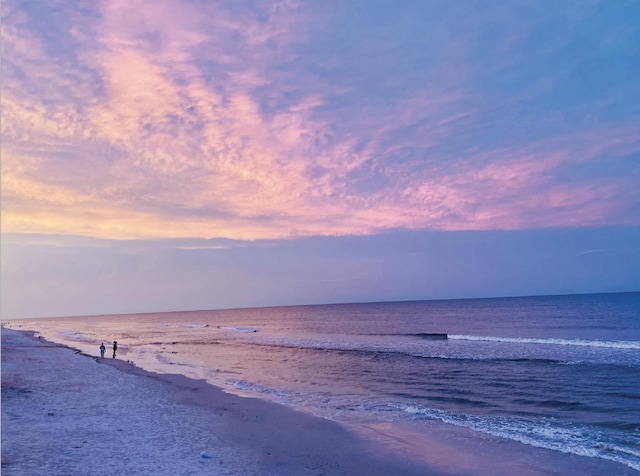 268 Sierras Loop, Saint Augustine, FL 32086 - water view featuring local beach
