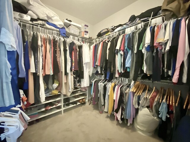 268 Sierras Loop, Saint Augustine, FL 32086 - walk in closet with carpet