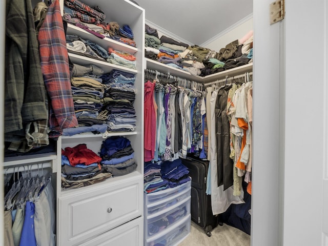 walk in closet with light colored carpet