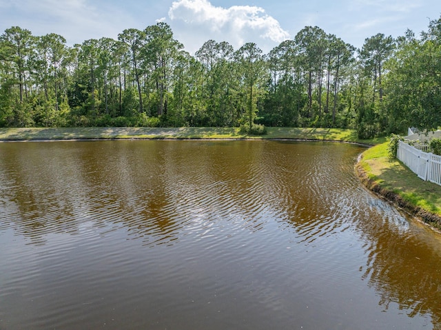 241 N Hidden Tree Dr, Saint Augustine, FL 32086 - photo 61