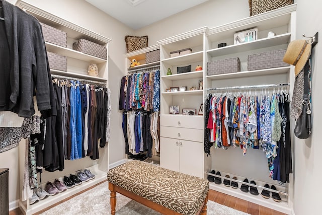 spacious closet with hardwood / wood-style floors