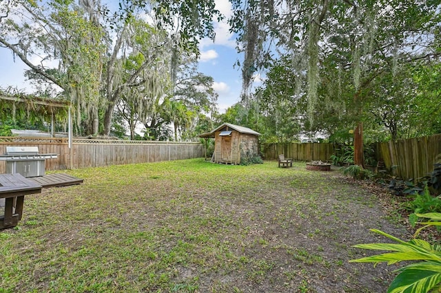 view of yard with a storage shed