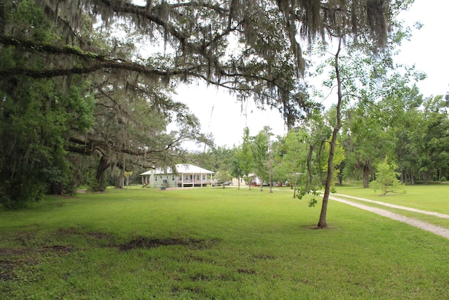 173 Dog Branch Rd, East Palatka, FL 32131 - photo 2