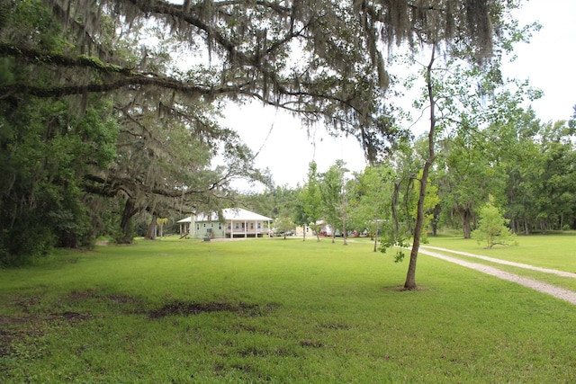 173 Dog Branch Rd, East Palatka, FL 32131 - photo 5