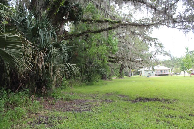 173 Dog Branch Rd, East Palatka, FL 32131 - photo 8