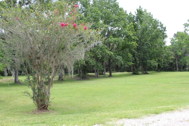 173 Dog Branch Rd, East Palatka, FL 32131 - photo 6