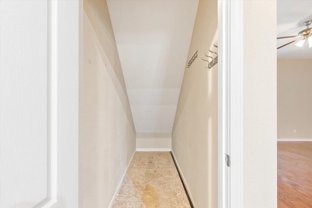 walk in closet with lofted ceiling, light colored carpet, and ceiling fan