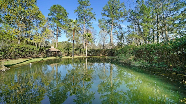12351 Tracy Ann Rd, Jacksonville, FL 32223 - photo 32