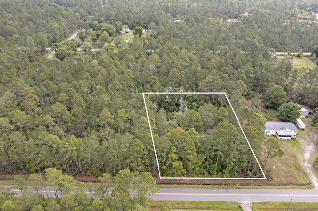 10010 Ebert Ave, Hastings FL, 32145 land for sale