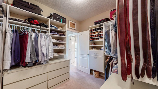 413 Fiddlers Point Dr, Saint Augustine, FL 32080 - spacious closet featuring carpet