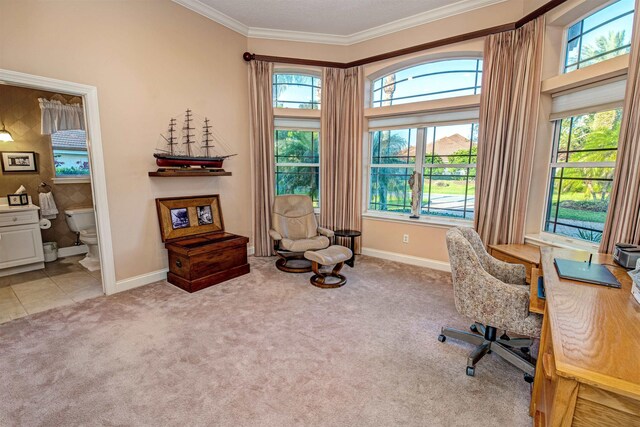 413 Fiddlers Point Dr, Saint Augustine, FL 32080 - home office with ornamental molding, light colored carpet, and baseboards
