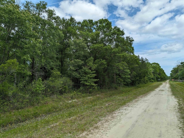 4600 Harold St, Hastings FL, 32145 land for sale