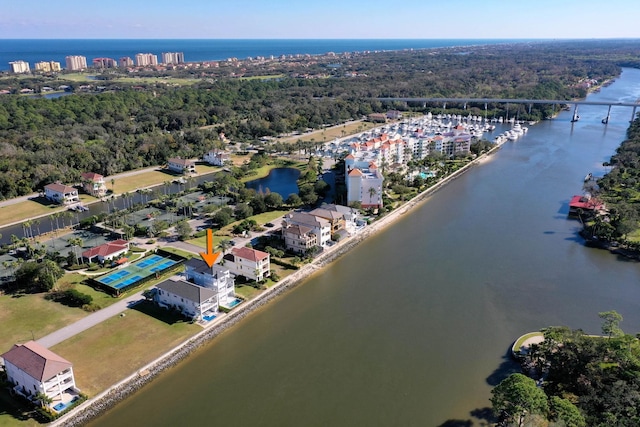 aerial view with a water view and a view of trees