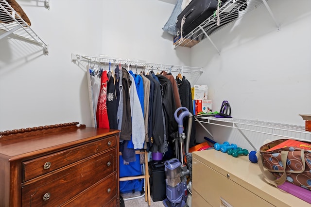 view of spacious closet