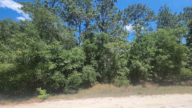 218 Summit Rd, Satsuma FL, 32189 land for sale