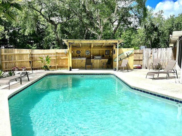 view of swimming pool featuring a patio