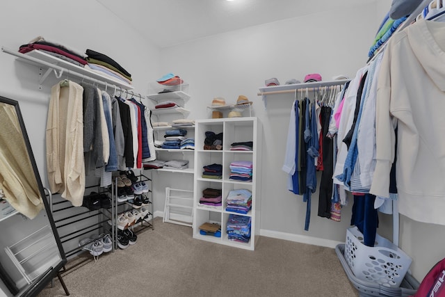 walk in closet featuring carpet