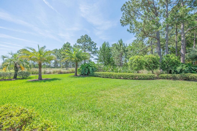 248 Marshside Dr, Saint Augustine, FL 32080 - view of green lawn