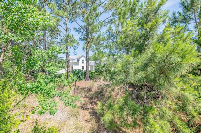 248 Marshside Dr, Saint Augustine, FL 32080 - view of yard