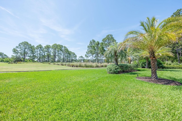 248 Marshside Dr, Saint Augustine, FL 32080 - view of grassy yard