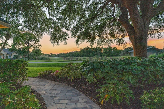 248 Marshside Dr, Saint Augustine, FL 32080 - view of green lawn