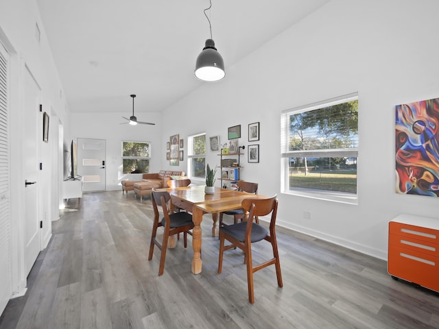 dining room featuring wood-type flooring and ceiling fan