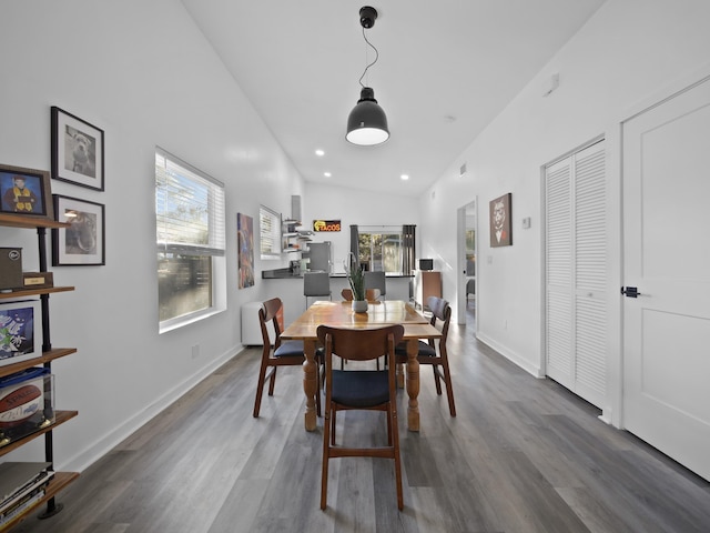 dining area featuring dark wood-type flooring and plenty of natural light