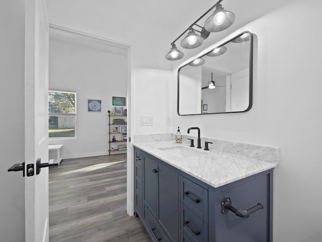 bathroom with vanity and wood-type flooring