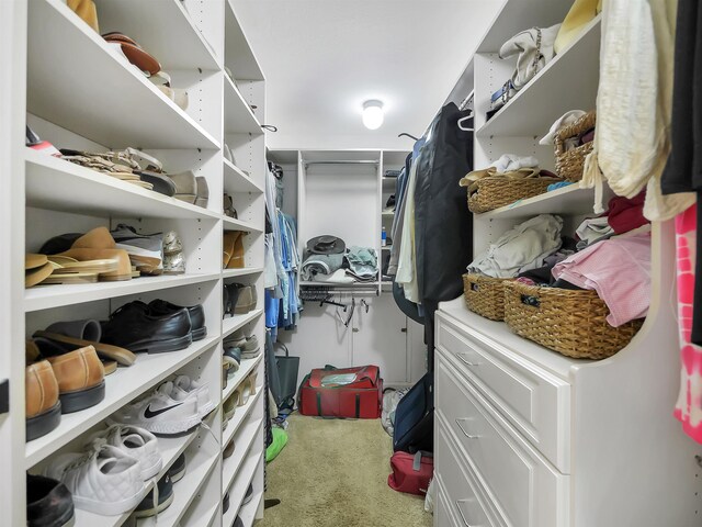 306 Marsh Point Cir, Saint Augustine, FL 32080 - spacious closet featuring carpet