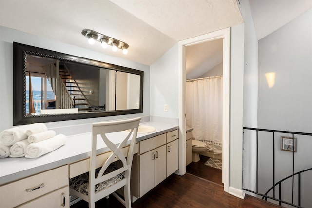 bathroom with toilet, vanity, lofted ceiling, and hardwood / wood-style flooring