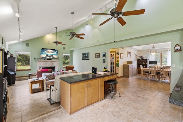 kitchen featuring a kitchen breakfast bar, open floor plan, a center island, a fireplace, and track lighting