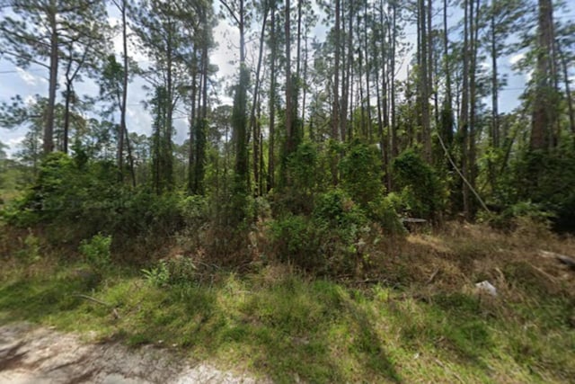 105 Pine Cone Dr, Georgetown FL, 32139 land for sale