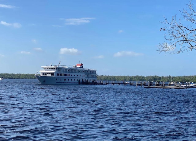1617 Cleveland Ave, Palatka, FL 32177 - water view